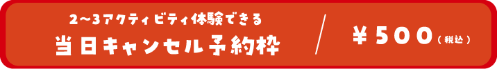 2~3アクティビティ体験できる当日キャンセル予約枠/500円(税込)